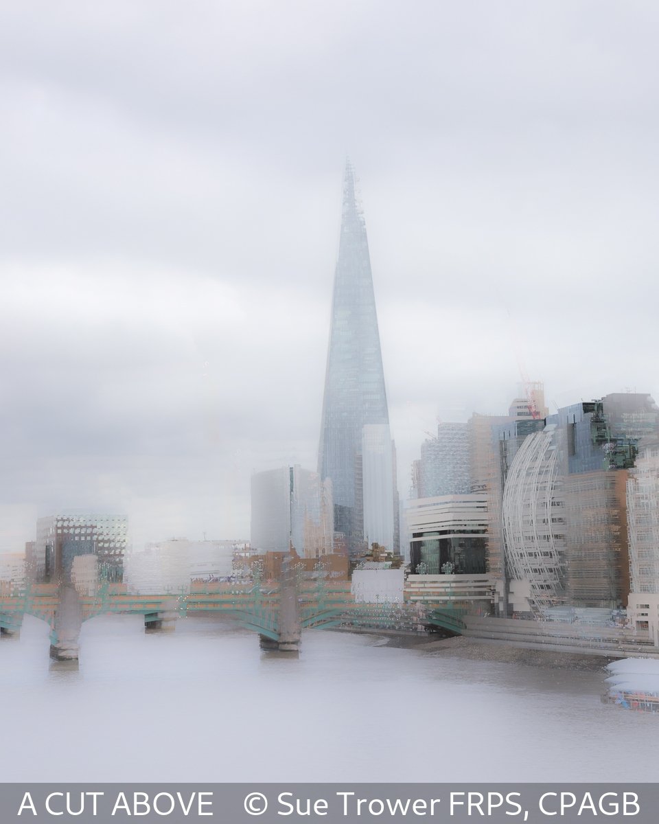 A cut above sue trower selected