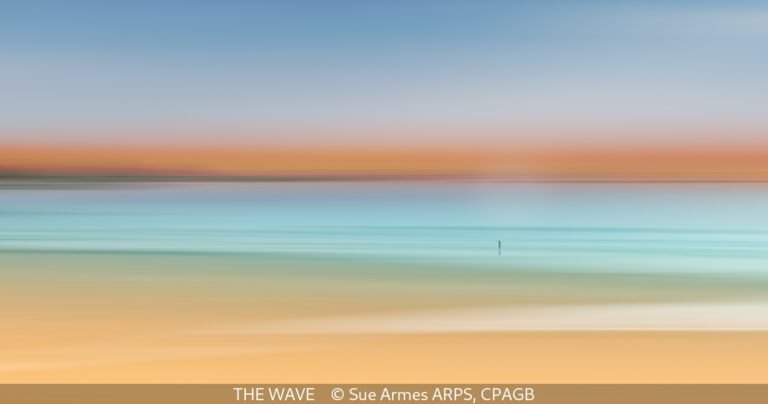 THE WAVE Sue Armes ARPS, CPAGB Selected