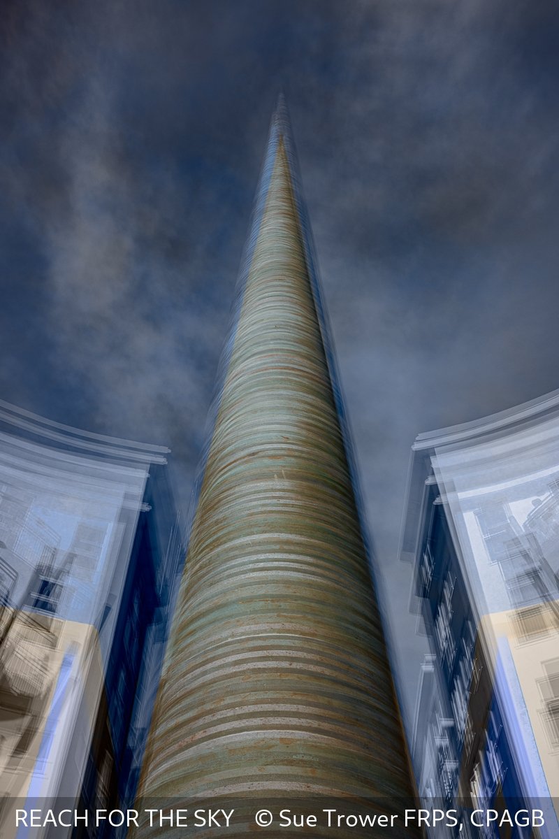 REACH FOR THE SKY Sue Trower First